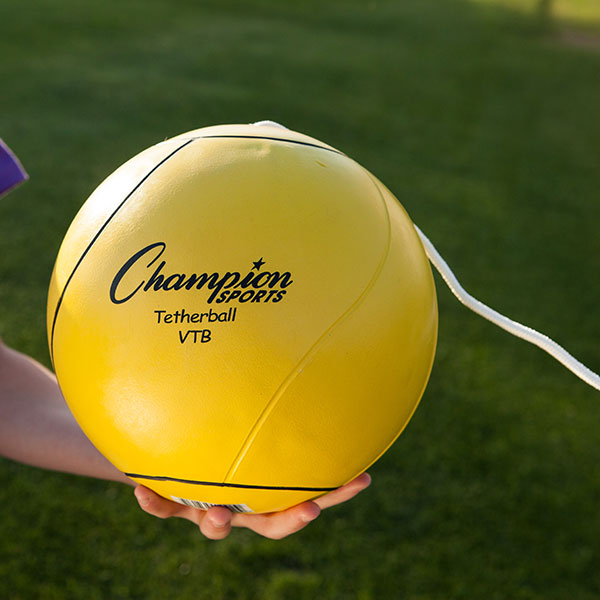 champion sports deluxe tetherball set