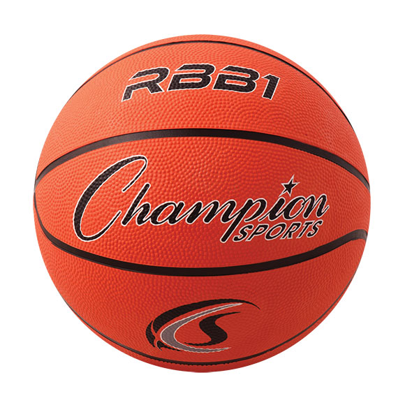 champion sports basketball net